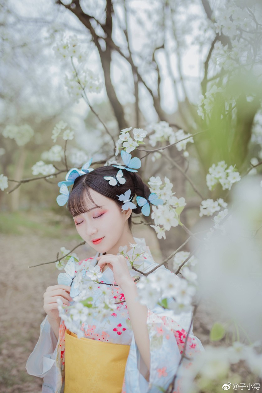 【和风物语】#和服写真##成都约片#
行く春や鳥啼き魚の目は涙
匆匆春将归，鸟啼鱼落泪。
造型/摄影/后期@子小浔
出镜@-绮罗苏- 