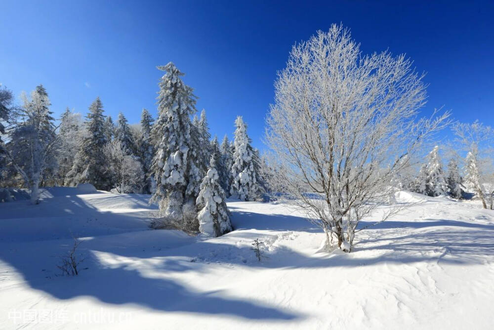 图片素材冰雪