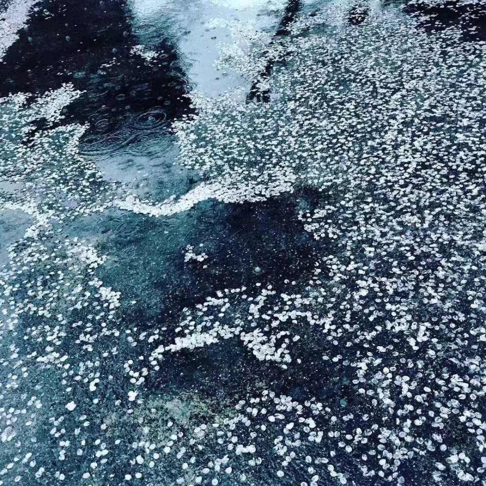 ​​摄影：岩仓しおり ​​ ​​​