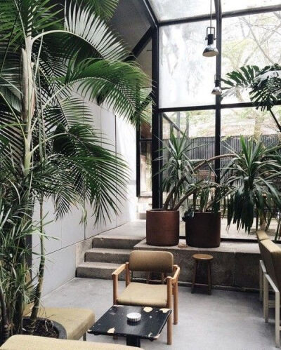 室内 · 绿植 ​