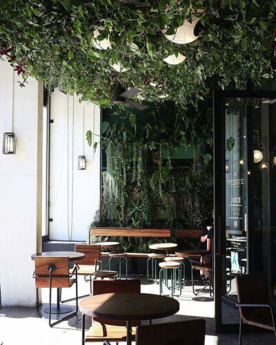 室内 · 绿植 ​