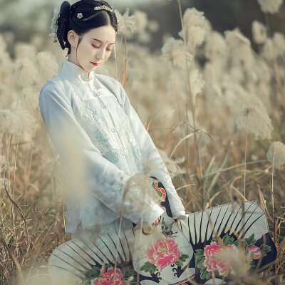 钟灵记【子衿】比甲对襟立领汉服上袄绣花春秋冬日常女款间色裙