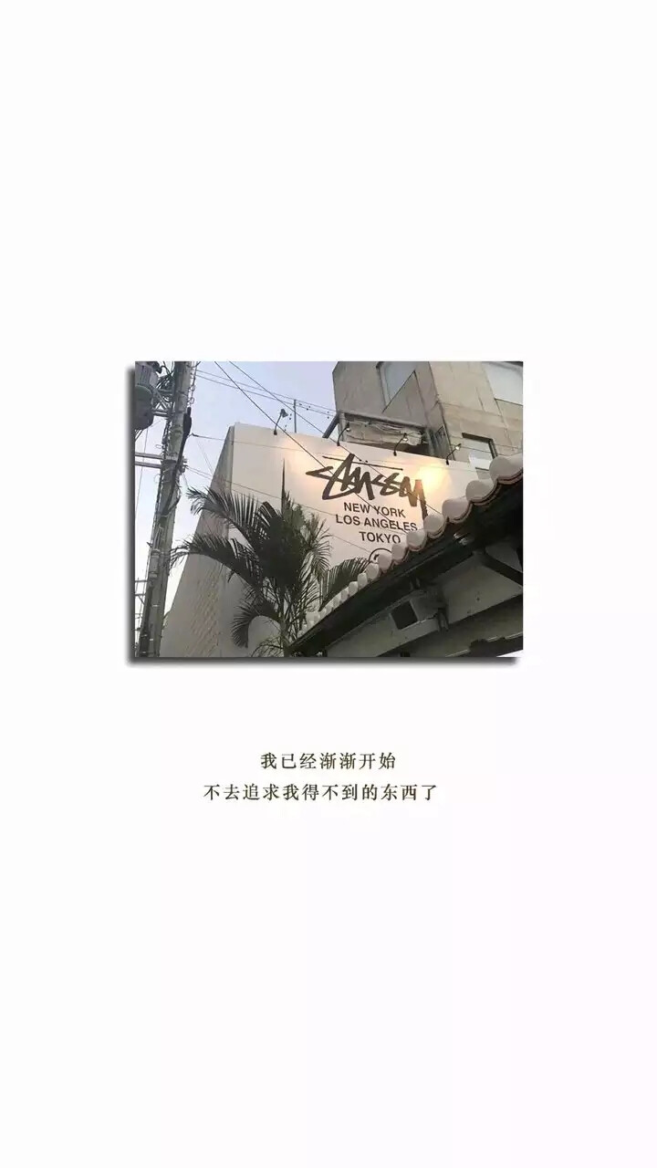 壁纸 背景
by朕真帅啊嘿
