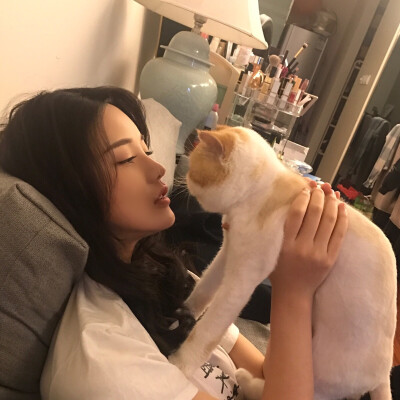 淡决