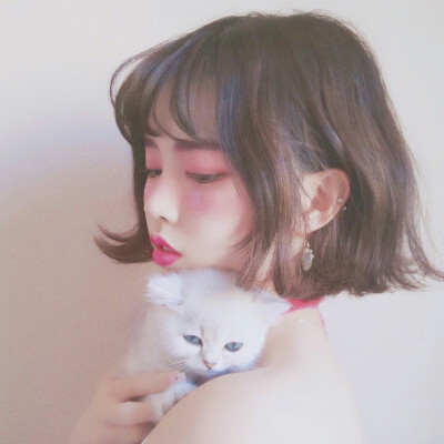 抱猫女头，猫控