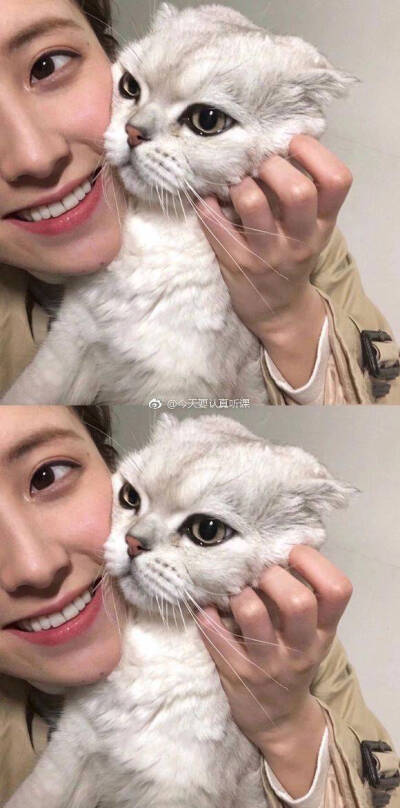 抱猫女头，猫控