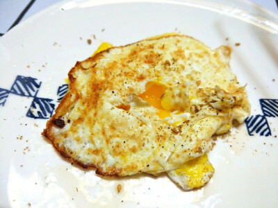 独立生活的猛猛