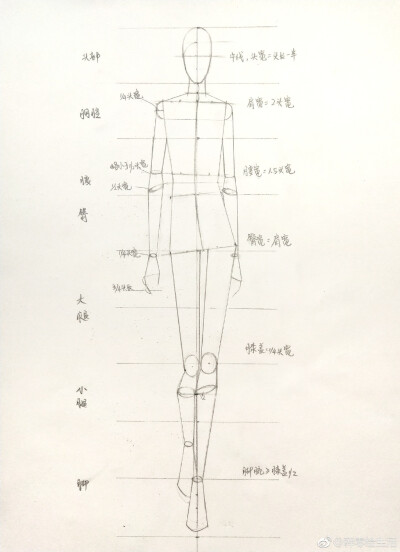 服装模特手绘