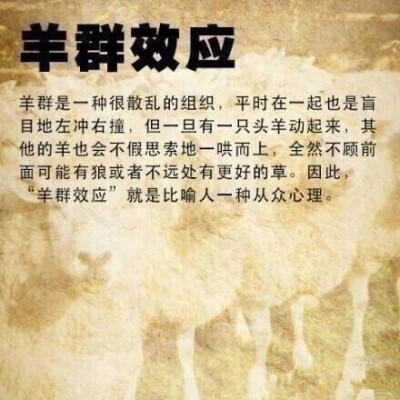 效应，定律，法则，理论