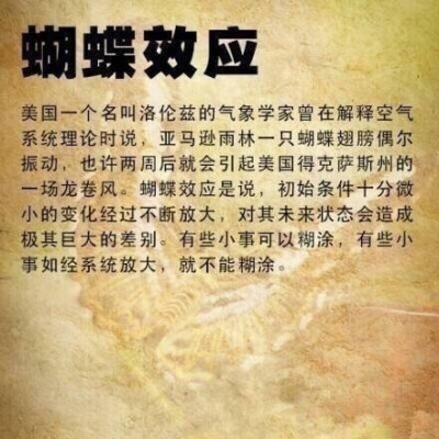 效应，定律，法则，理论