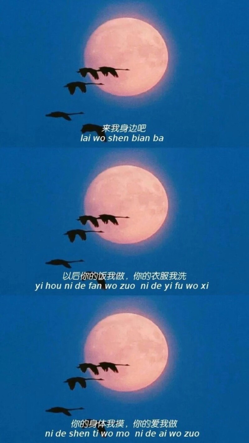 日常壁纸