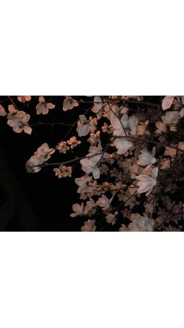 他们都急着养生之道 我却日日熬夜 总想着死于一场意外 ​​​
——武葬