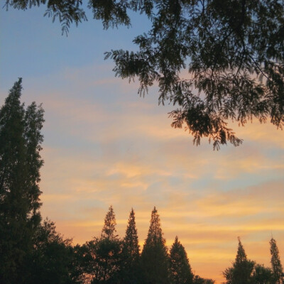 明天就是中秋节了
大家中秋快乐~今天的日落真的好美啊 拍摄于扬州瘦西湖景区 骑着我的宝马去看日落耶耶耶✌ 才有了反光镜里的小世界