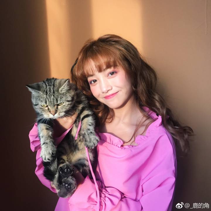 猫女头á 不想截码了（主要是懒）！就这样吧