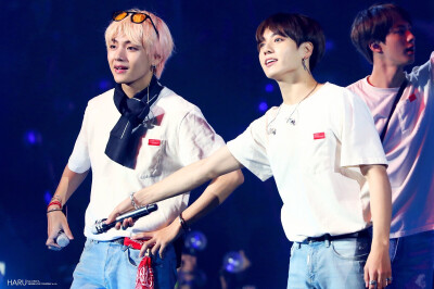 kookv