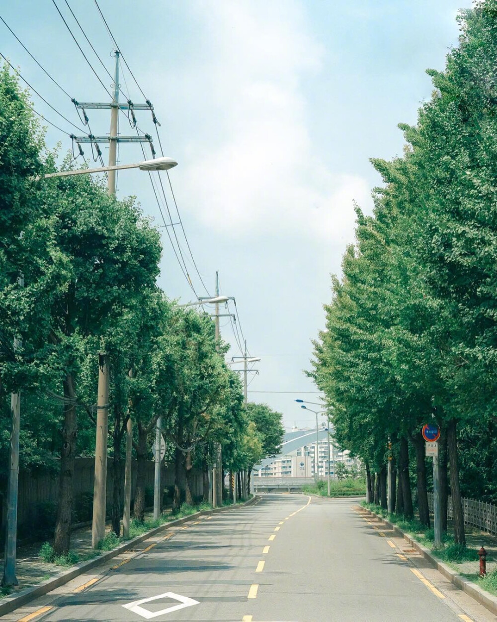 记住四句话：再难也要坚持，再好也要淡泊，再差也要自信，再多也要节省。 ​​​​