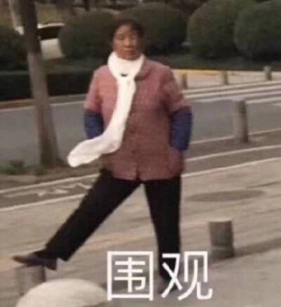 大妈 围观 表情包