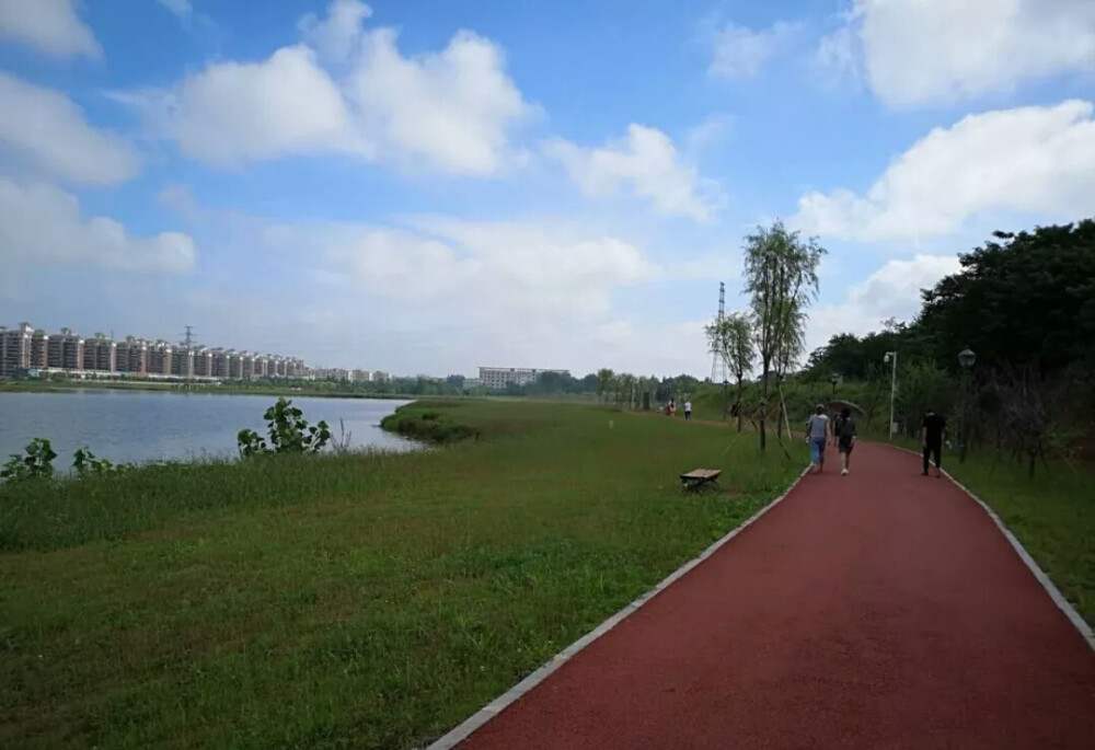 陽(yáng)邏鄢家湖濕地公園