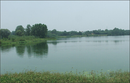 陽(yáng)邏鄢家湖濕地公園