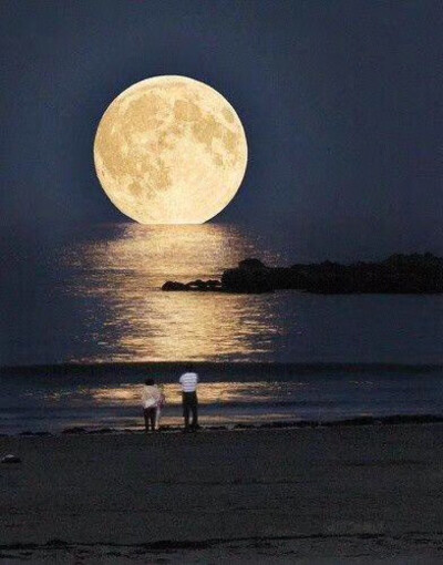 海底月是天上月，
眼前人是心上人。
向来心是看客心，
奈何人是剧中人。