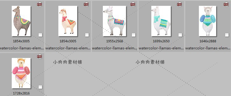 儿童手绘卡通动物羊驼仙人掌靠枕图案卡片封面PNG设计素材png347