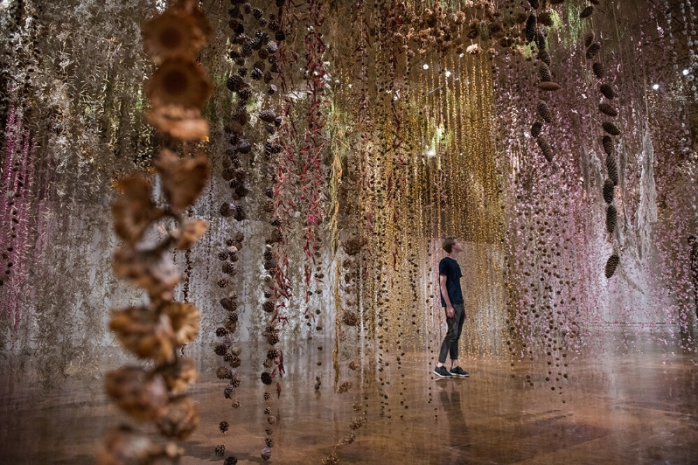 英国装置艺术家 rebecca louise law 用五颜六色的鲜花与干花装扮满了Toledo艺术博物馆，该大型沉浸式花园装置选取了由当地1800名志愿者提供的花朵制成，观众漫步其中，体验着鲜花的香气如同漫步于天堂。 ​