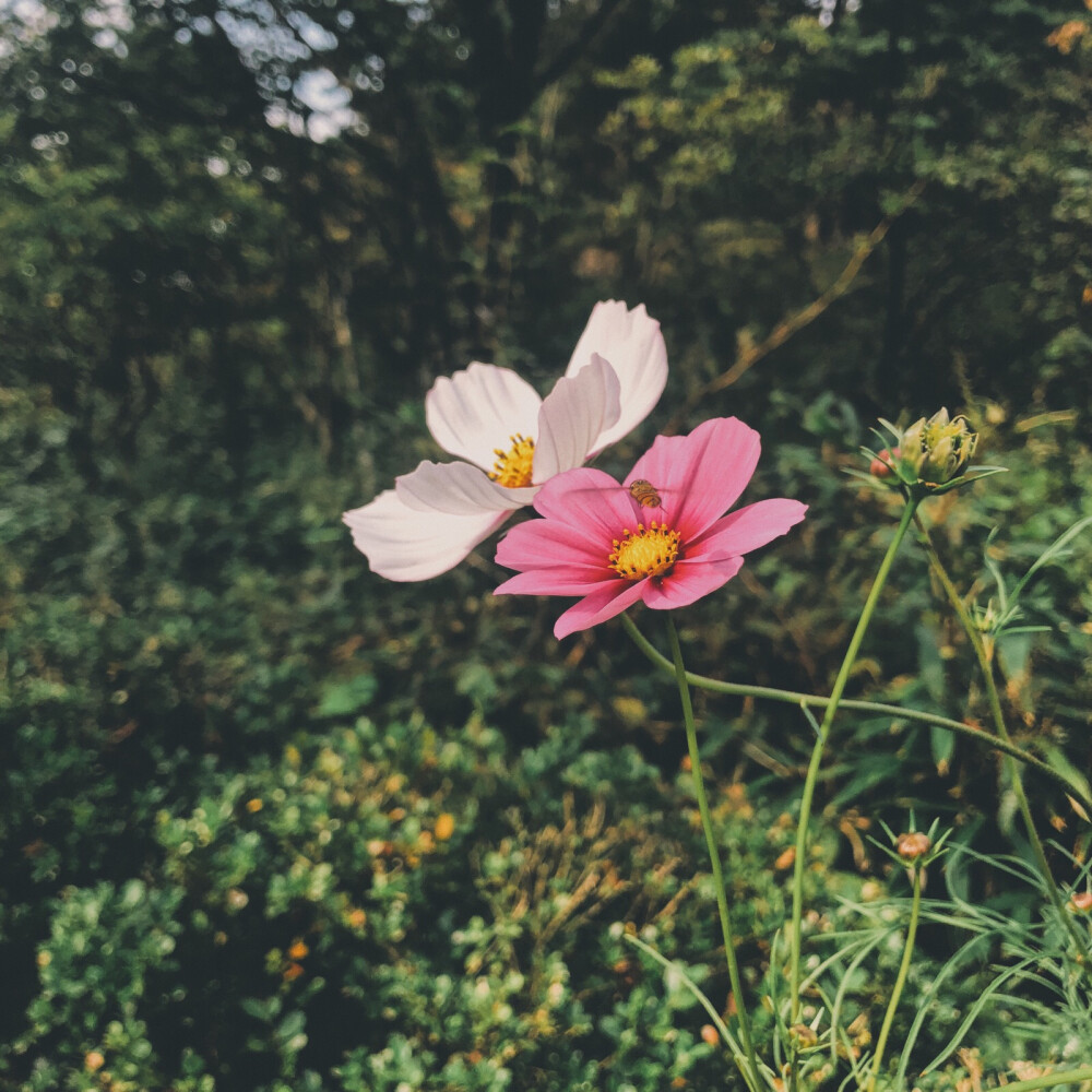 2018年中秋节