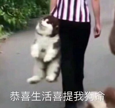 监狱生活第一天
做听力的时候我在犯困 菜了菜了