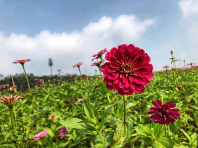 睡觉之前，原谅这一切晚安！