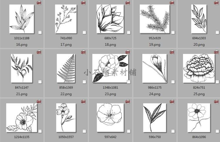 植物花卉黑白线稿素描简笔画装饰边框背景AI临摹设计素材ai373