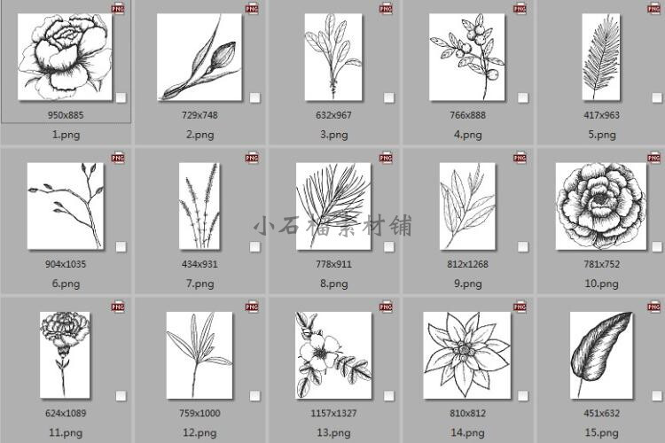 植物花卉黑白线稿素描简笔画装饰边框背景AI临摹设计素材ai373