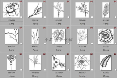 植物花卉黑白线稿素描简笔画装饰边框背景AI临摹设计素材ai373