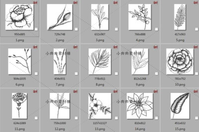 植物花卉黑白线稿装饰边框素描简笔画AI矢量临摹设计素材ai373