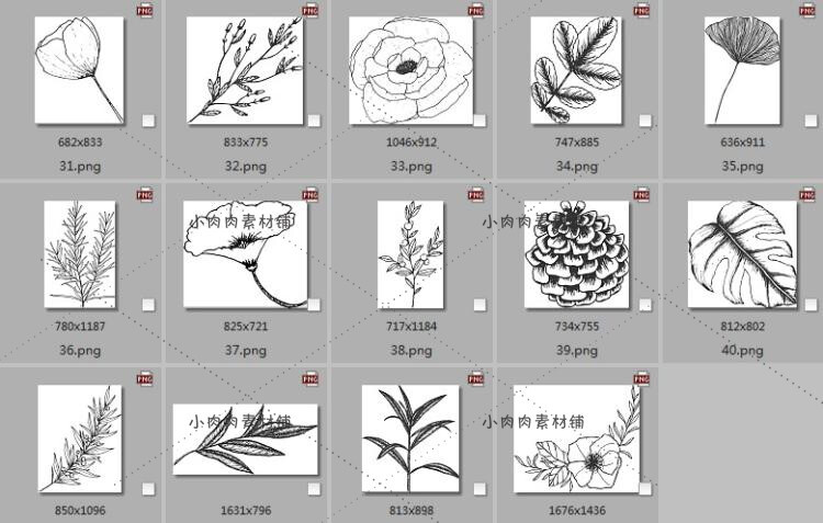 植物花卉黑白线稿装饰边框素描简笔画AI矢量临摹设计素材ai373