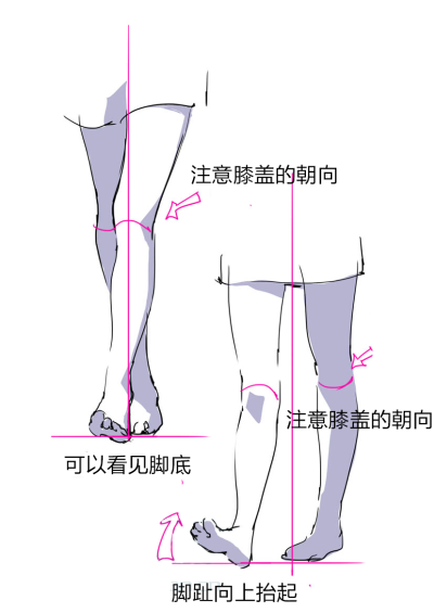 人体 结构 素材Q版