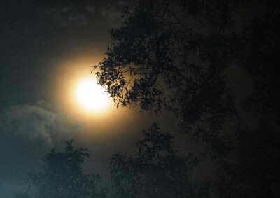 最近一次拍月亮是在八月初的甲米
夜里出来看星星 离海滩有段距离 夏夜里窸窸窣窣的虫鸣听着很舒服
老板走出来和我一起仰头看 问我要不要拍照
我说好 于是他支起了三脚架
长焦还不够长 就拍起了树梢的月亮
不过还是今…