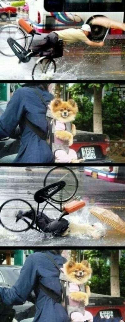 网上那些让人笑到肚子疼的照片#搞笑# ​ ​​​​#幽默搞笑君# ​