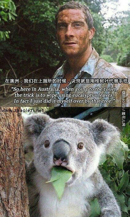 网上那些让人笑到肚子疼的照片#搞笑# ​ ​​​​#幽默搞笑君# ​