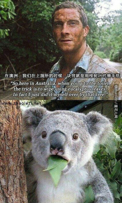 网上那些让人笑到肚子疼的照片#搞笑# ​ ​​​​#幽默搞笑君# ​