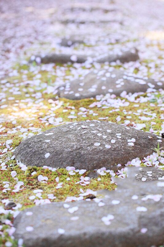 花开花落花无悔，缘来缘去缘如水。 花谢为花开，花飞为花悲。 花悲为花泪，花泪为花碎。 花舞花落泪，花哭花瓣飞。 花开为谁谢，花谢为谁悲。—— 李清照《残花》 ​