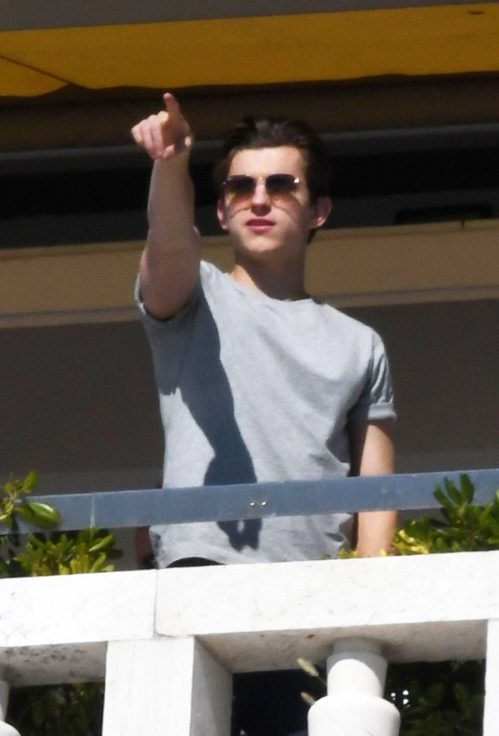 今日份白白嫩嫩的墨镜荷
图源资讯站