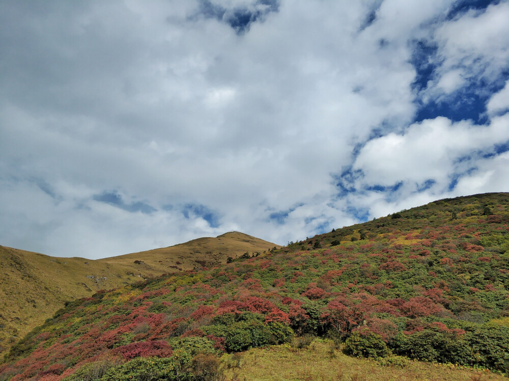 九顶山