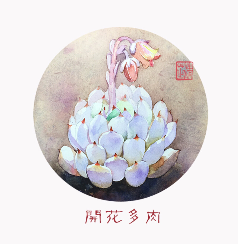 一组小清新多肉