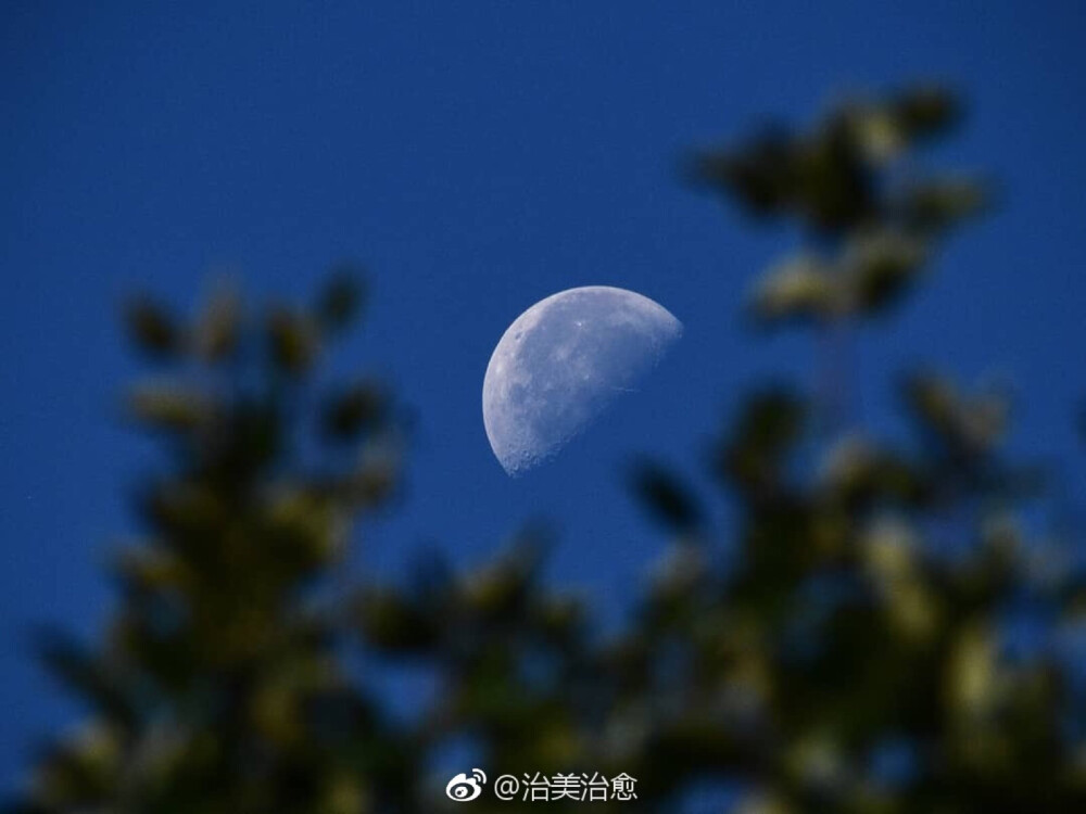 月亮背景图 欧美头像 moon night 油画壁纸