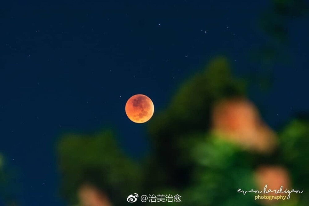 月亮背景图 欧美头像 moon night 油画壁纸
