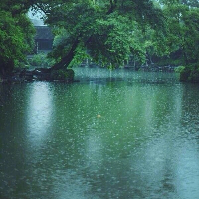 雨来细细复疏疏，纵不能多不肯无。似妒诗人山入眼，千峰故隔一帘珠。 ​