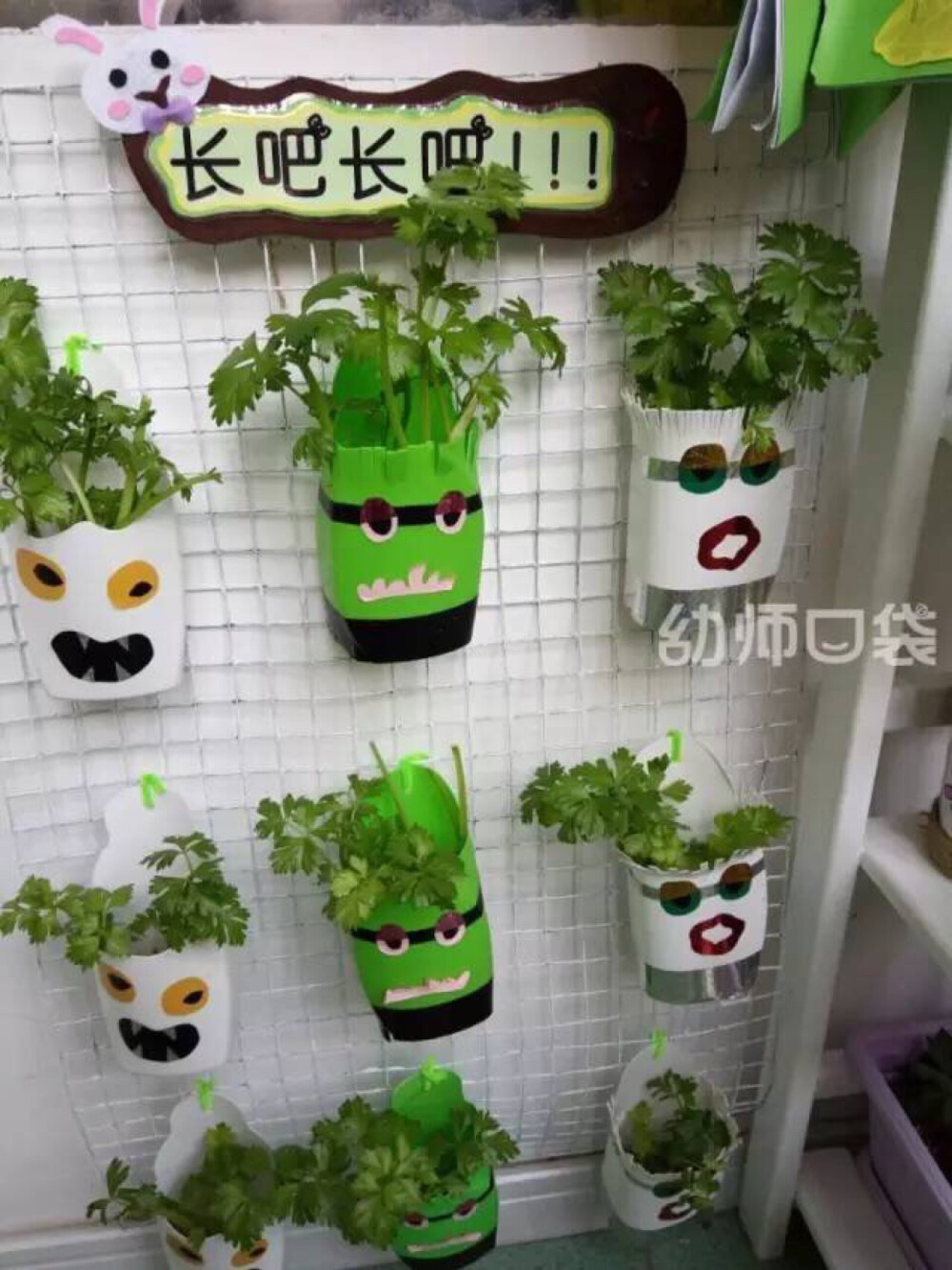 植物