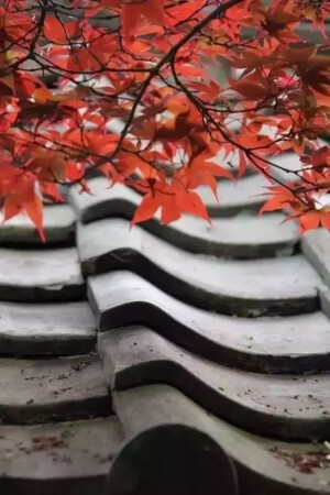瓦片