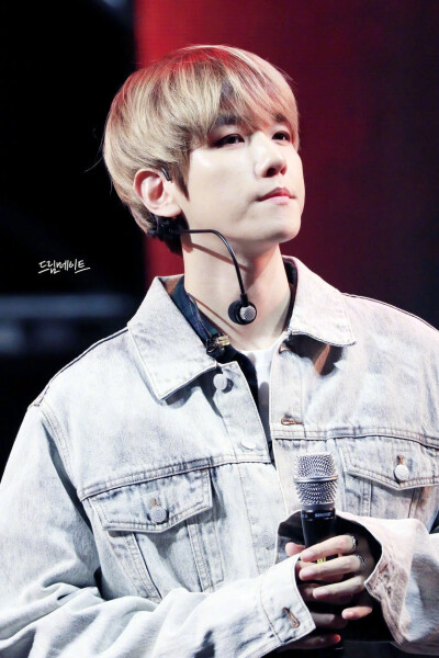 180927【DreamMate_0104/puppystore_1992】2018 Korea Sale Festa 高清9P
EXO 边伯贤
抱图点赞 喜欢收藏