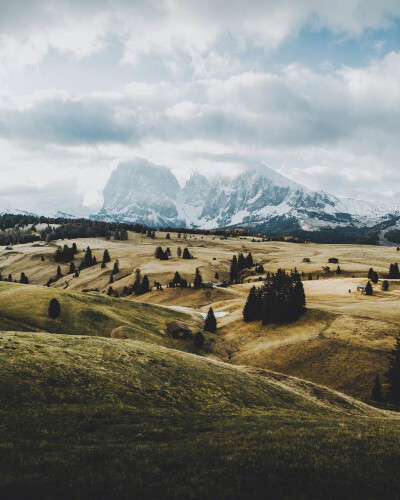 背景
